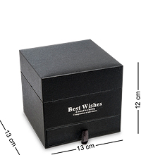 WG-88-A Коробка подарочная «Best wishes» цв.черн.