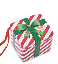 TCN-20/1 Коробка металлическая