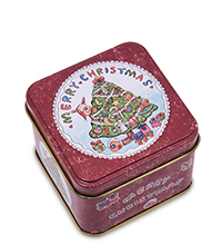 TCN-29/12 Коробка металлическая