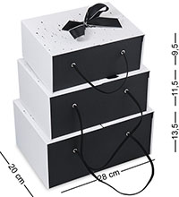 WF-185-B Набор коробок из 3 шт, черно-белый