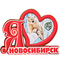 МТ- 006/29-A Магнит «Новосибирск»