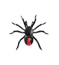 75-013 Панно настенное «Паук Черная Вдова» (албезия, о.Бали) 30 см