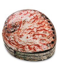 54-014 Декоративная шкатулка «Ракушка»