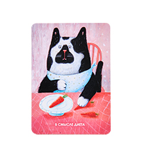 ANG-1805 Виниловый магнит «В смысле диета»