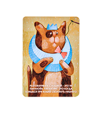 ANG-1813 Виниловый магнит «Разговаривать с кошкой»