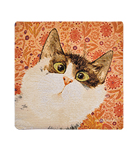 ANG-1999 Наволочка гобеленовая «Ой!» 30х30