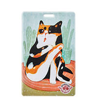 ANG-2131 Обложка для проездных и карточек «Люблю сидеть дома и смотреть на обои» 6,5х10,5