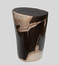 Предметы декора из окаменелого дерева