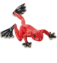 PAVONE ~ Анималистические лягушки